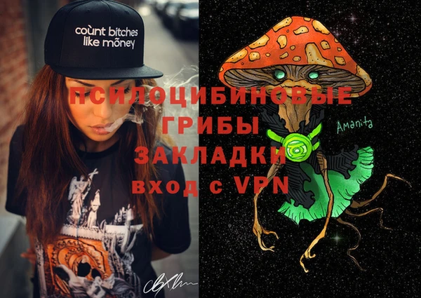 твердый Алексеевка
