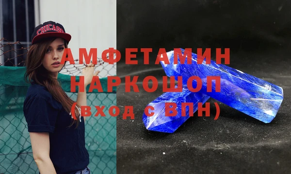шишки Лабытнанги