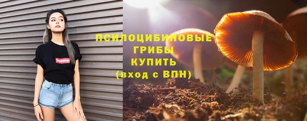 твердый Алексеевка