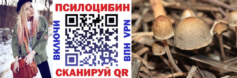 Галлюциногенные грибы прущие грибы  Апатиты 